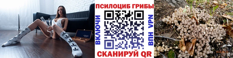 kraken сайт  Димитровград  Галлюциногенные грибы Cubensis 