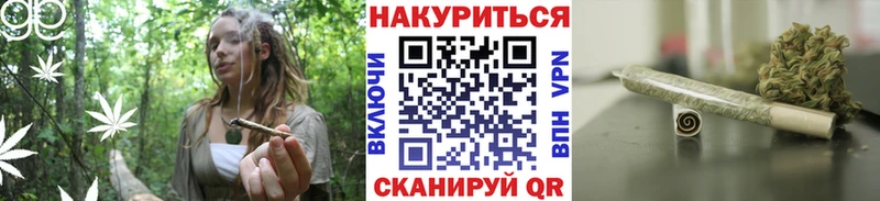 Канабис конопля  как найти   Димитровград 